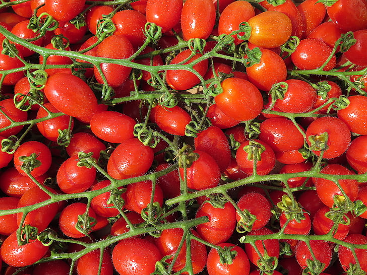 tomaatit, kirsikkatomaatteja, Bio, punainen, vihannekset, Ruoka, kirsikka