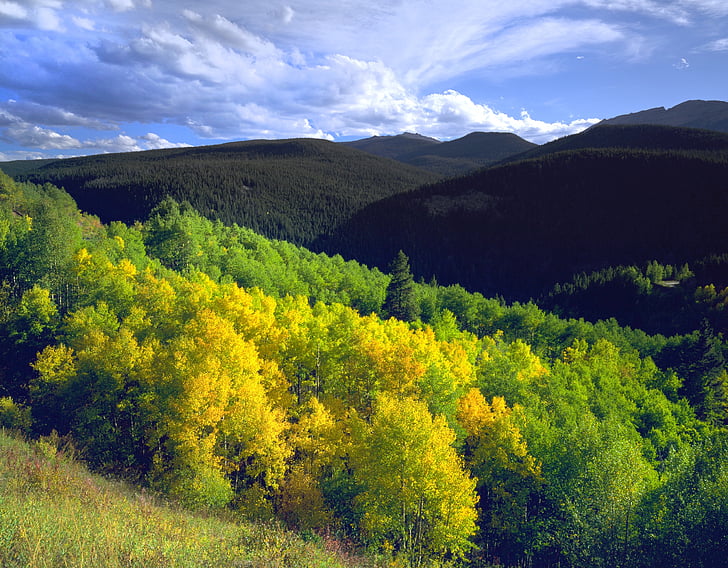 Colorado, Aspen, Mountain, notch berg, vildmarken, vacker natur, Rocky