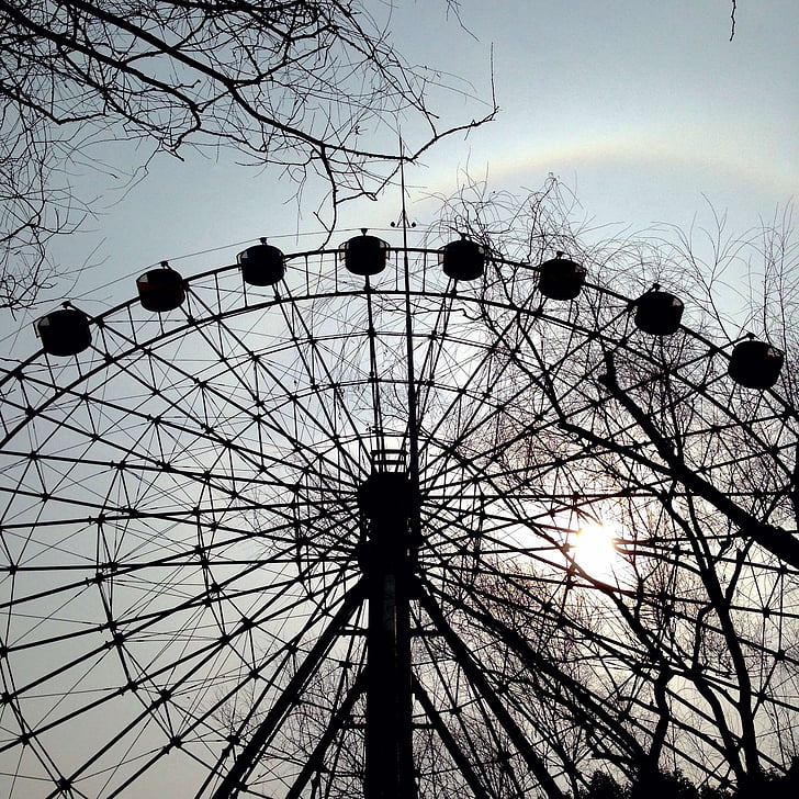 the ferris wheel, sunset, halo, rainbow, shanghai zoo
