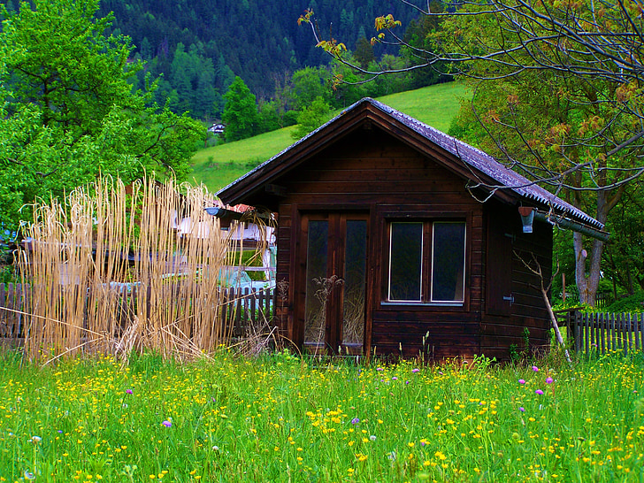 ξύλινο εξοχικό σπίτι, ξηρό καλάμι, πράσινο λιβάδι