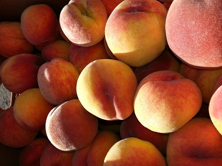 peaches, fruit, tree-ripened, ripe, nature, harvest, tree