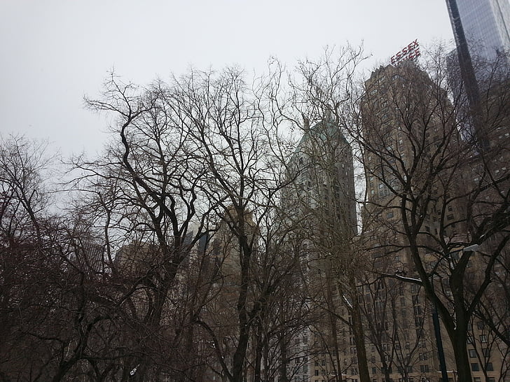 New york, Central park, Hotel essex, Manhattan, USA, Wolkenkratzer, New York city