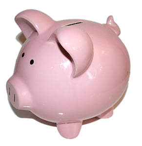 piggy bank, bank, money, finance, currency, savings, business