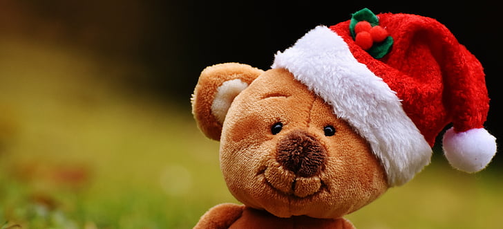 Navidad, Teddy, juguete de peluche, sombrero de Santa, gracioso
