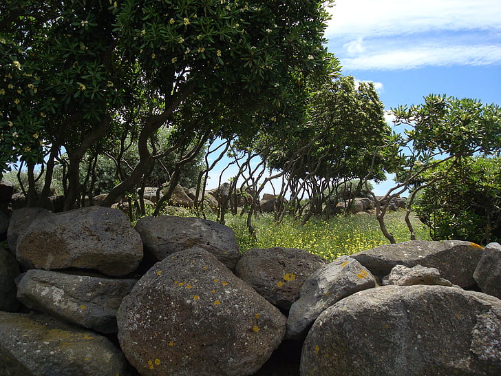 árboles, piedras, paisaje, relajación, Estado de ánimo, roca, pacífica
