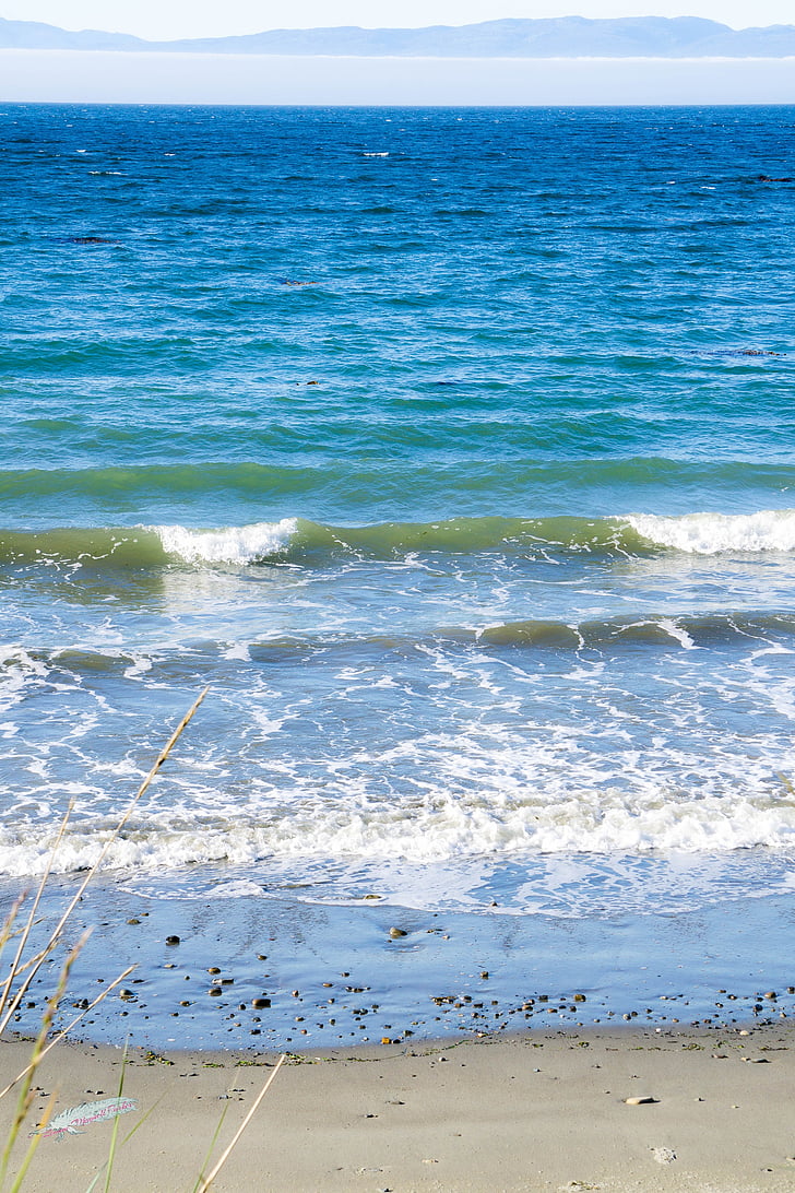 valovi, pijesak, RT laskanje, Tihi ocean, morska trava, morske pjene
