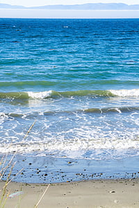 ondas, arena, adulación del cabo, Océano Pacífico, hierba de mar, espuma del mar