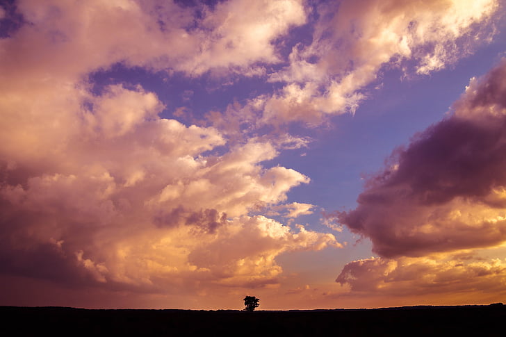 sky, lonely, tree, landscape, outdoor, sunset, dramatic
