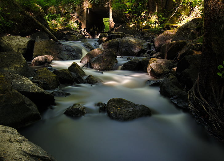 creek, forest, nature, river, rocks, stream, water