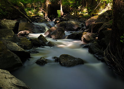 Creek, skog, natur, elven, steiner, Stream, vann