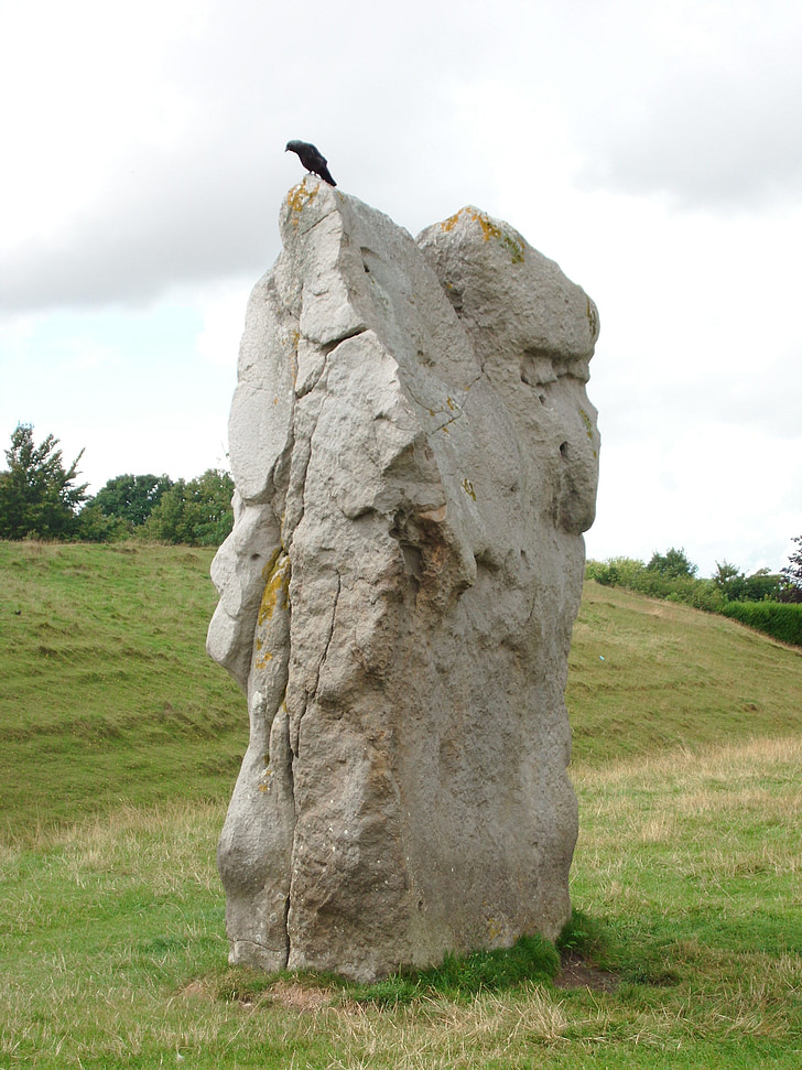 england, avebury, pierre, bird, megalithe