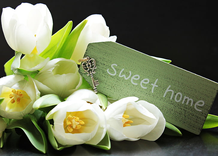 tulipány, Tulipa, štít, sladký domov, kľúč, Keychain, Prívesky sladký domov