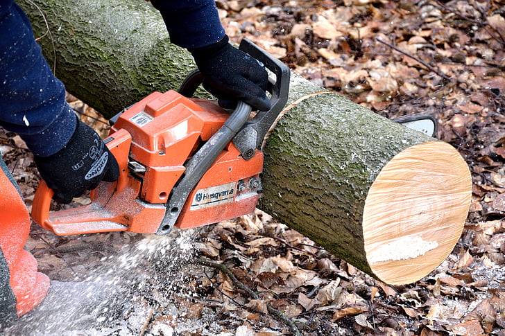 cutting wood, lumberjack, chainsaw, woodworks, tree trunks, lumber, cutting