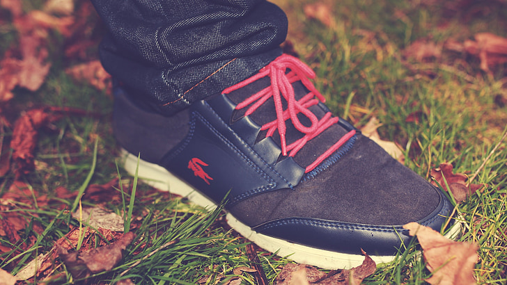 lacoste, trainers, shoes, leaves, autumn, lifestyle, nature