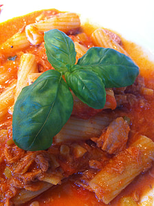Penne, sauce, tomates, basilic, sauce tomate, alimentaire, rouge vert