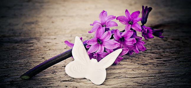 hyacinth, flower, flowers, pink, deco butterfly, wood, close