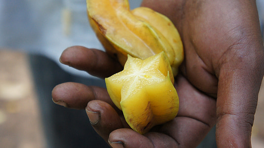 Carambola (starfruit), Afrika, frukt, givande, hand, Zanzibar, stjärnfrukt