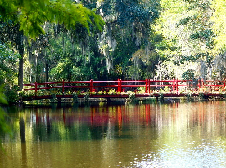 rode brug, Spaans mos, moeras, vijver, binnenwateren, pad, natuur