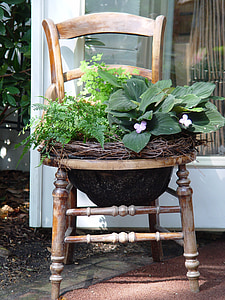 contenidor, planta, Jardineria, plantació, horticultura, composició, disseny