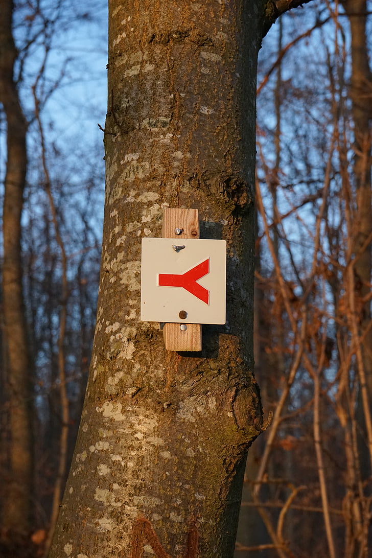 Signpost, caractère migrateur, balisages, marque de, panneaux de signalisation, Annuaire, Jura Souabe