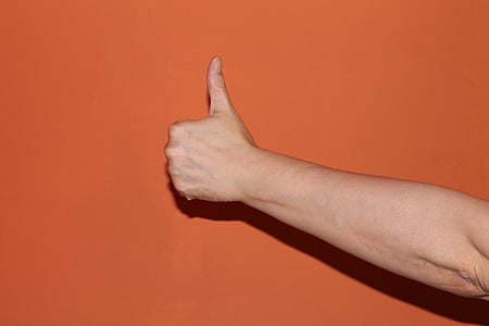 thumb, hand, great, excellent, thumbs up, human Hand, gesturing