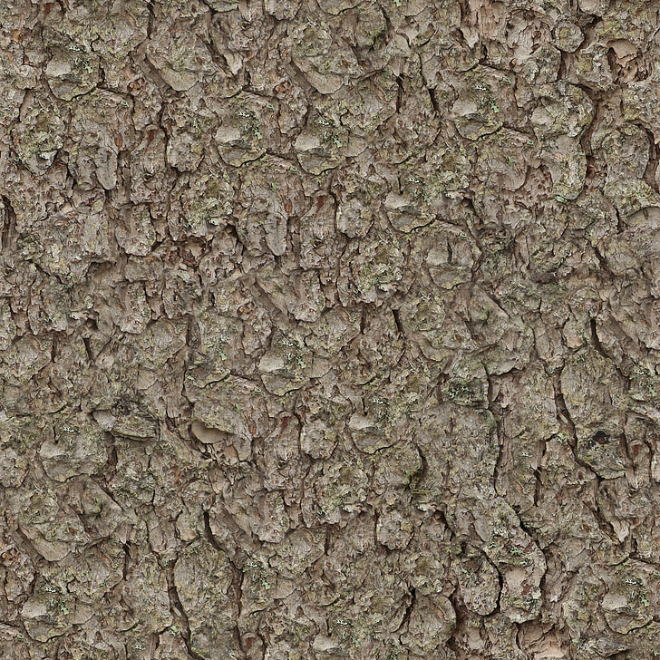 texture, seamless, tileable, pine, bark, nature, tree