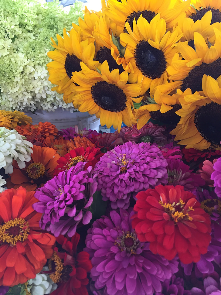 flowers, sunflowers, zinnias, farmers market, growers, garden, fresh