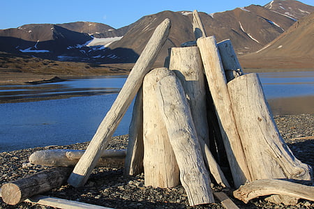 Svalbard, naplavené drevo, drevo