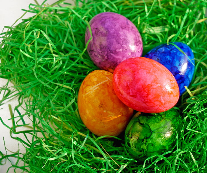 nid de Pâques, oeuf de Pâques, Pâques, oeuf, herbe, Déco, couleur