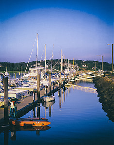 科德角, 马萨诸塞州, 港口, 湾, 水, 几点思考, 小船