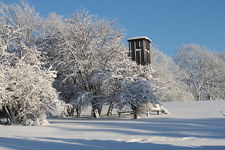 inverno, neve, invernale, sogno d'inverno, magia della neve, alberi, magia d'inverno