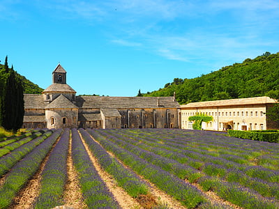 Abbaye de senanque, klášter, opatství, Notre dame de sénanque, řád cisterciáků, Dormitorium, Klášterní kostel
