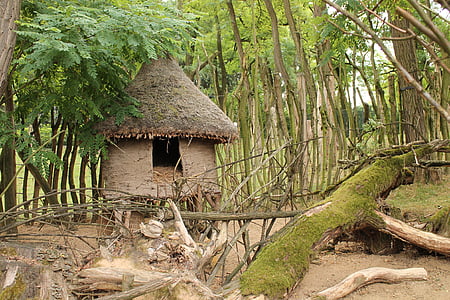 Hétvégi ház, törzs, Afrika, erdő, kis ház, a zöld fák, rejtett ház