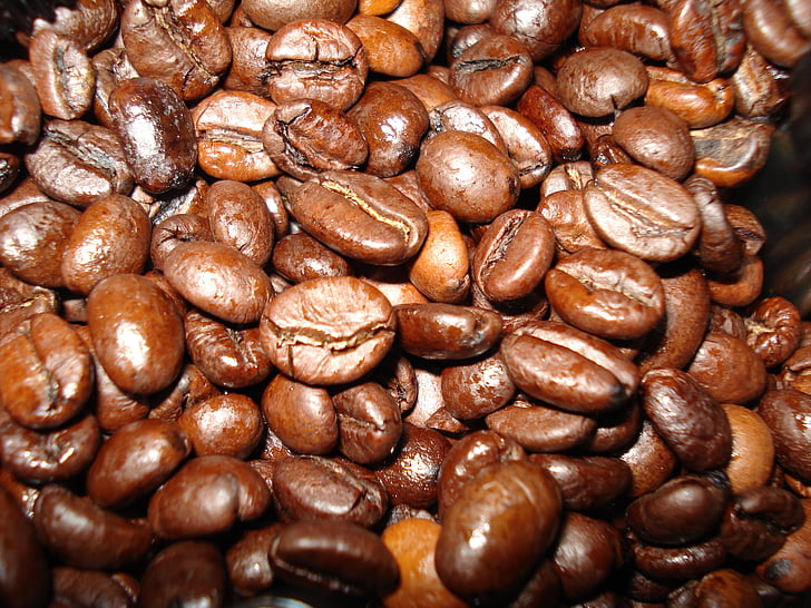 coffee, beverages, coffee beans, brown, beans, roasted