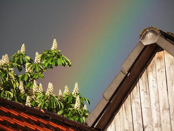 Rainbow, Väder, naturligt skådespel, regnbågens färger, hus tak, bostäder