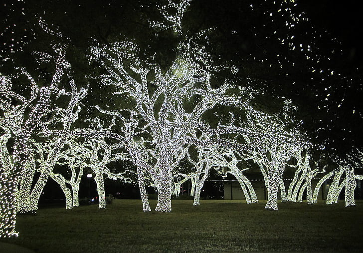 julbelysning, Texas, jul, natt, belysning, glödlampor, elektricitet