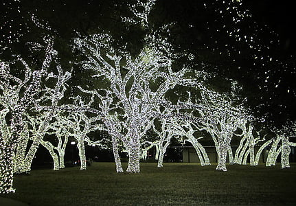 Різдвяні вогні, Техас, Різдво, ніч, освітленість, Цибулини, Електроенергія