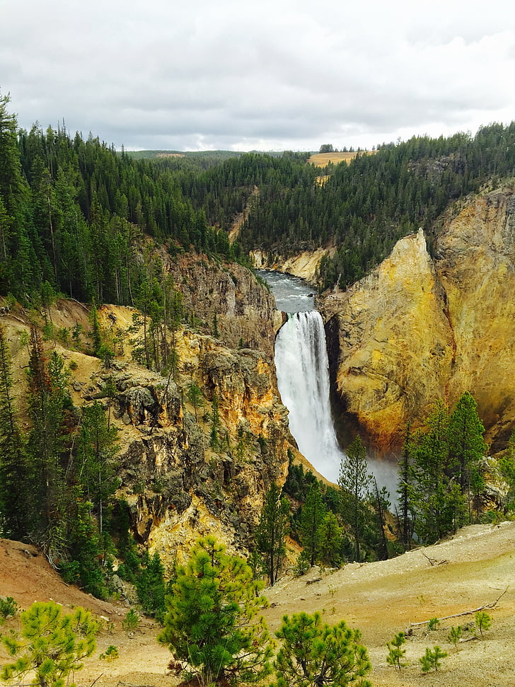 Yellowstone, canó, cascada, natura, paisatge, representacions, EUA