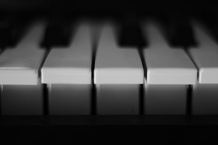 piano, keys, white, music, strum, piano keyboard, musical instrument