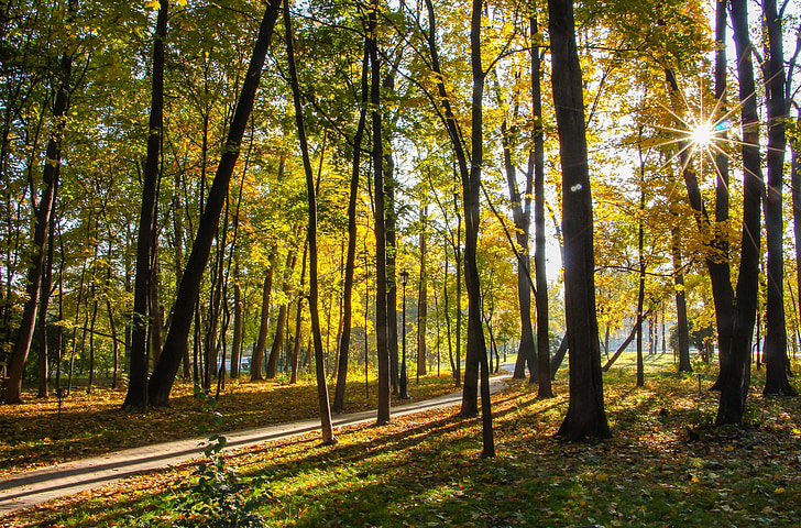 Park, Herbst, Ostankino