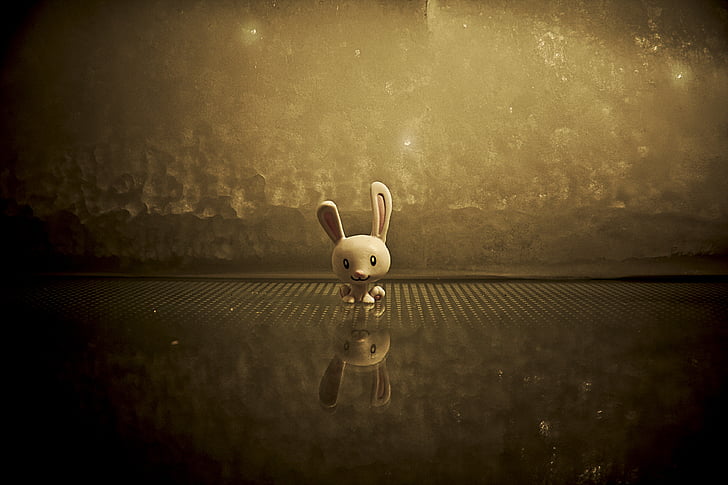 Bunny, ładny, Figurka, z tworzyw sztucznych, Królik, odbicie, uśmiechający się