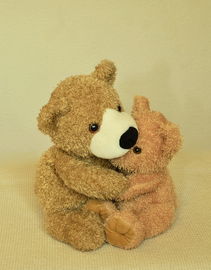 Teddy, Plyšová hračka, plyšáky, medvede, Plyšák, milý, pritúliť