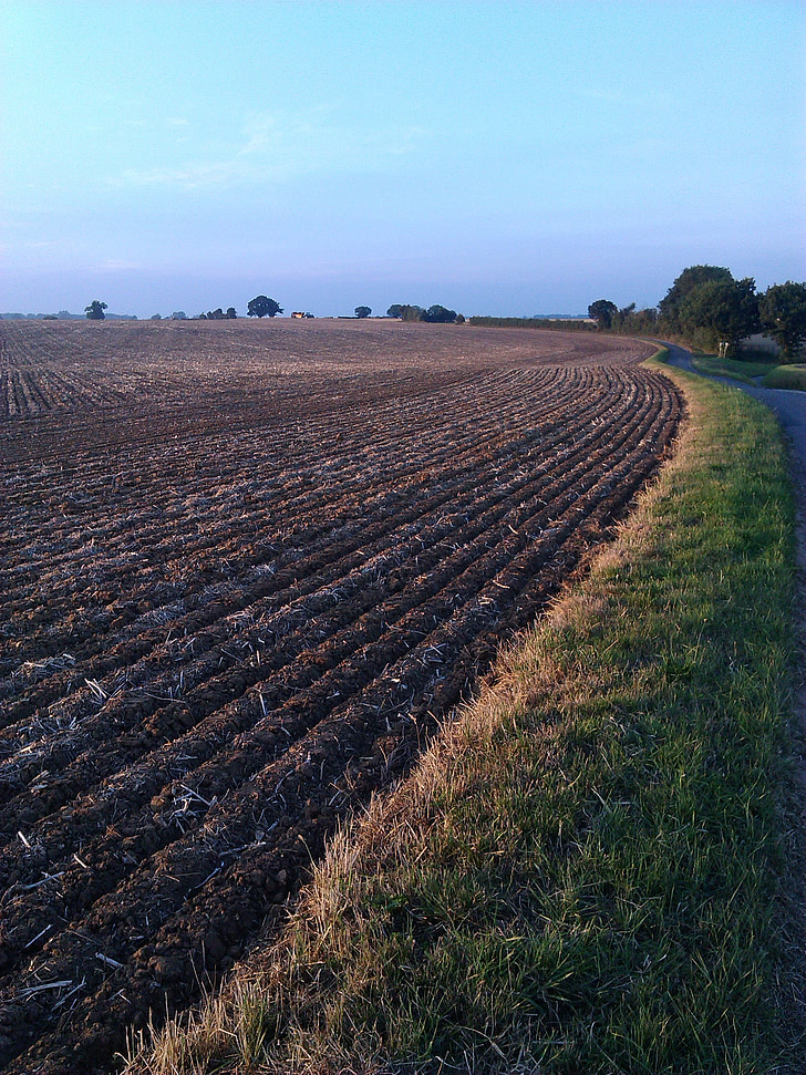 ploughed field, norfolk, blue sky, tilled, field, ploughed, land