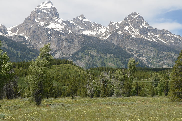 Parco nazionale Grand teton, montagna, Grand, Parco, Teton, paesaggio, Wyoming