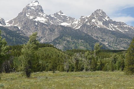 Parque Nacional de Grand teton, montanha, Grand, Parque, Teton, paisagem, Wyoming
