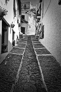 alley, cobblestone, design, narrow, street, paved, pavement