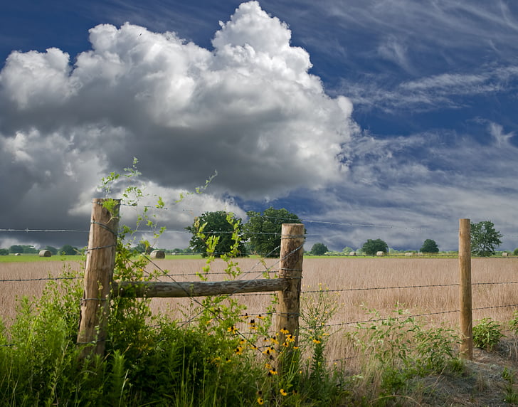 kerítés, termőföld, felhők, a Cumulus, Sky, nyári, a mező