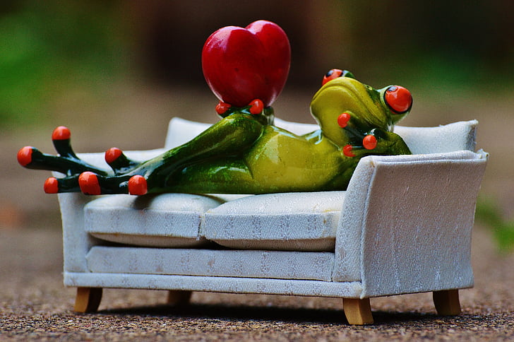 βάτραχος, Αγάπη, Καναπές, καρδιά, σχήμα, Αστείο, Χαριτωμένο