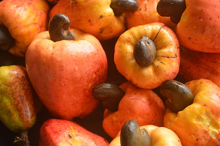 frukter, cashewnötter äpple, mat, ekologisk, Tropical, naturliga, jordbruk