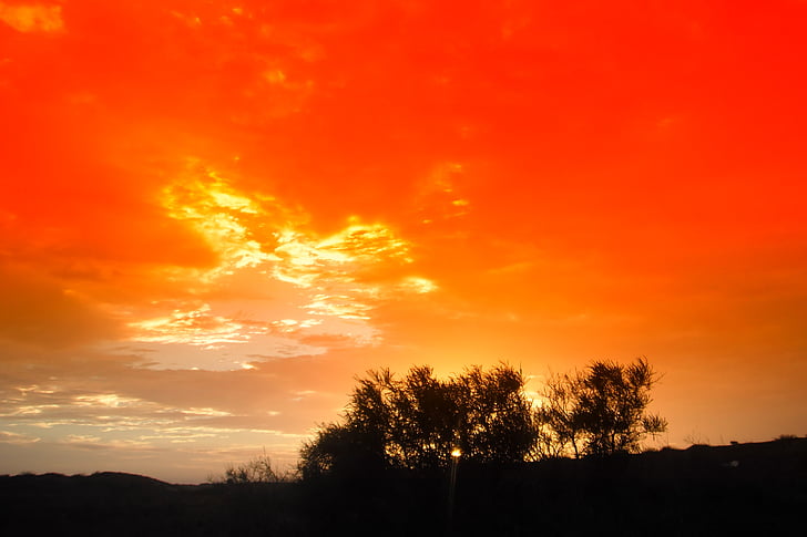 sunset, trees, silhouettes, sky, clouds, beautiful, nature
